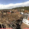 15_25-nest.jpg