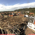 15_30-nest.jpg