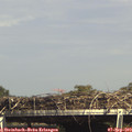 15_35-mast.jpg