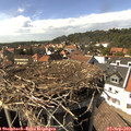 15_35-nest.jpg