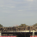 15_40-mast.jpg