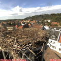 15_40-nest.jpg