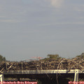 15_45-mast.jpg