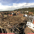 15_45-nest.jpg