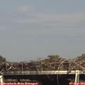 16_00-mast.jpg