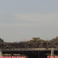 16_15-mast.jpg