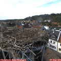 16_15-nest.jpg