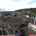 16_20-nest.jpg