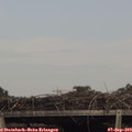 16_25-mast.jpg