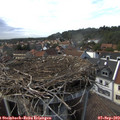 16_25-nest.jpg