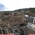 16_30-nest.jpg