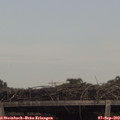16_35-mast.jpg