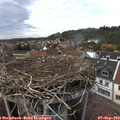 16_35-nest.jpg