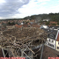 16_40-nest.jpg