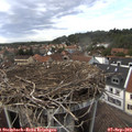 16_45-nest.jpg