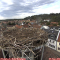 16_50-nest.jpg