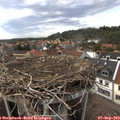 16_55-nest.jpg