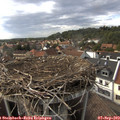 17_00-nest.jpg