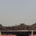 17_05-mast.jpg