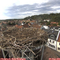 17_05-nest.jpg
