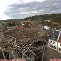 17_10-nest.jpg