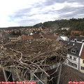 17_15-nest.jpg