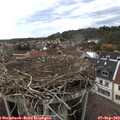 17_20-nest.jpg