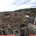 17_25-nest.jpg