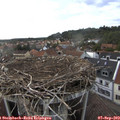 17_30-nest.jpg