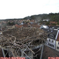 17_35-nest.jpg