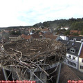 17_40-nest.jpg