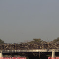 17_45-mast.jpg