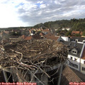 17_45-nest.jpg