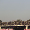 17_50-mast.jpg