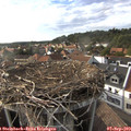 17_50-nest.jpg