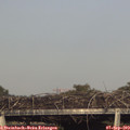 17_55-mast.jpg