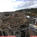 17_55-nest.jpg