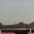 18_00-mast.jpg