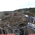 18_00-nest.jpg