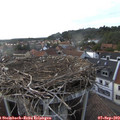 18_05-nest.jpg