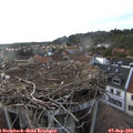 18_10-nest.jpg