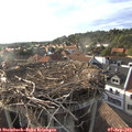 18_15-nest.jpg