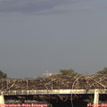 18_20-mast.jpg