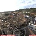 18_25-nest.jpg