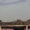 18_30-mast.jpg