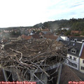 18_30-nest.jpg