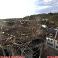 18_35-nest.jpg