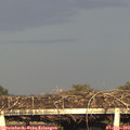 18_40-mast.jpg