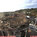 18_40-nest.jpg