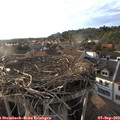 18_45-nest.jpg